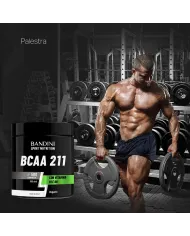 BCAA 2 1 1 - 500 Compresse
